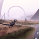 Illustration for article titled 10 Concept Artists Who Should Be Making Their Own Movies
